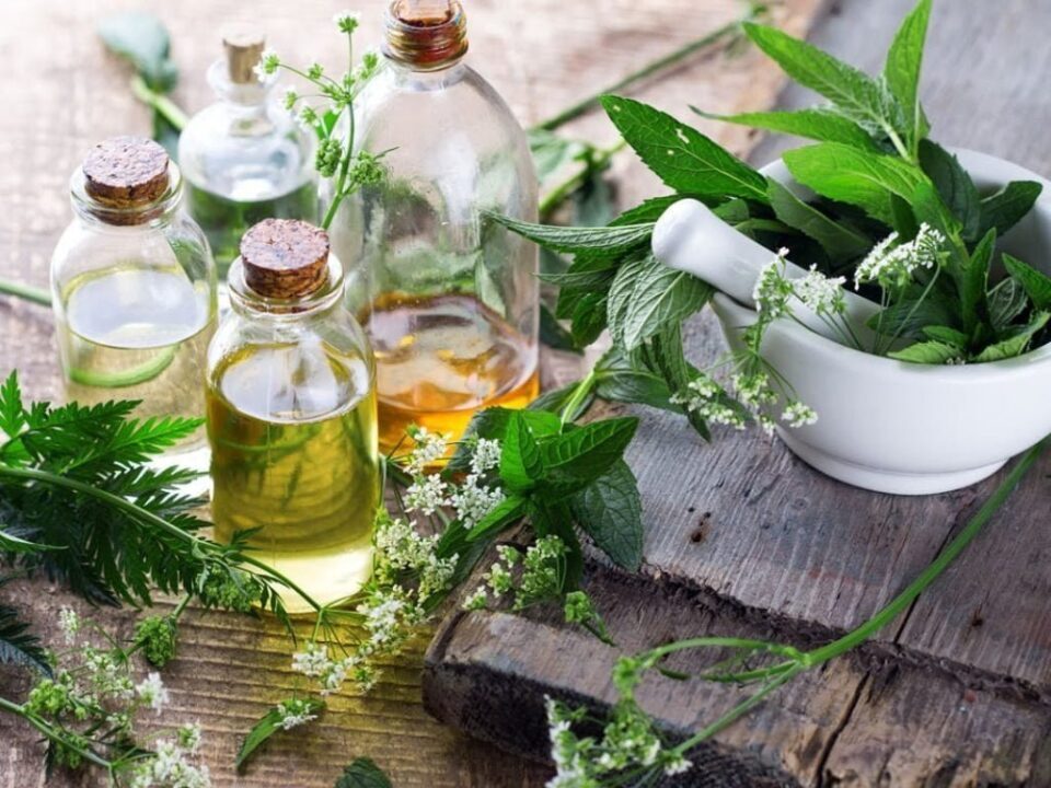 mỹ phẩm thuần chay