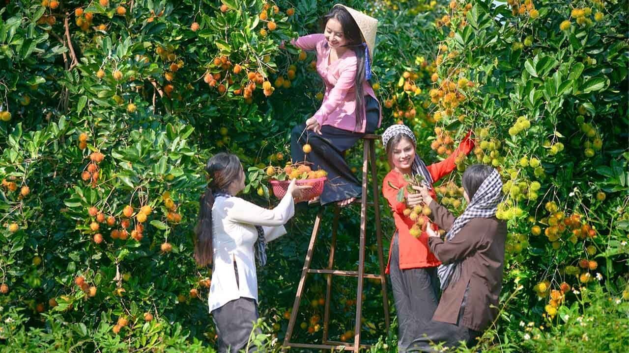 du lịch miền tây