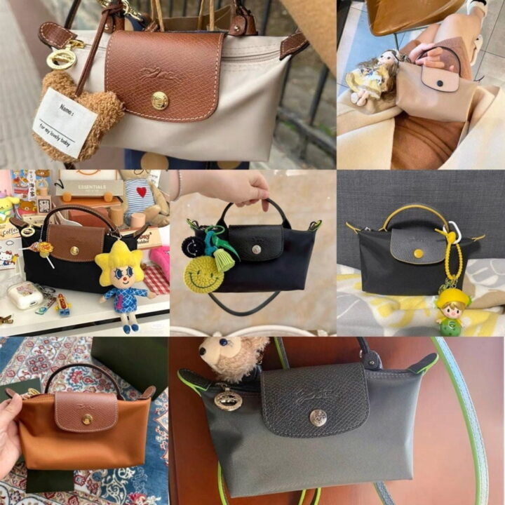 túi longchamp