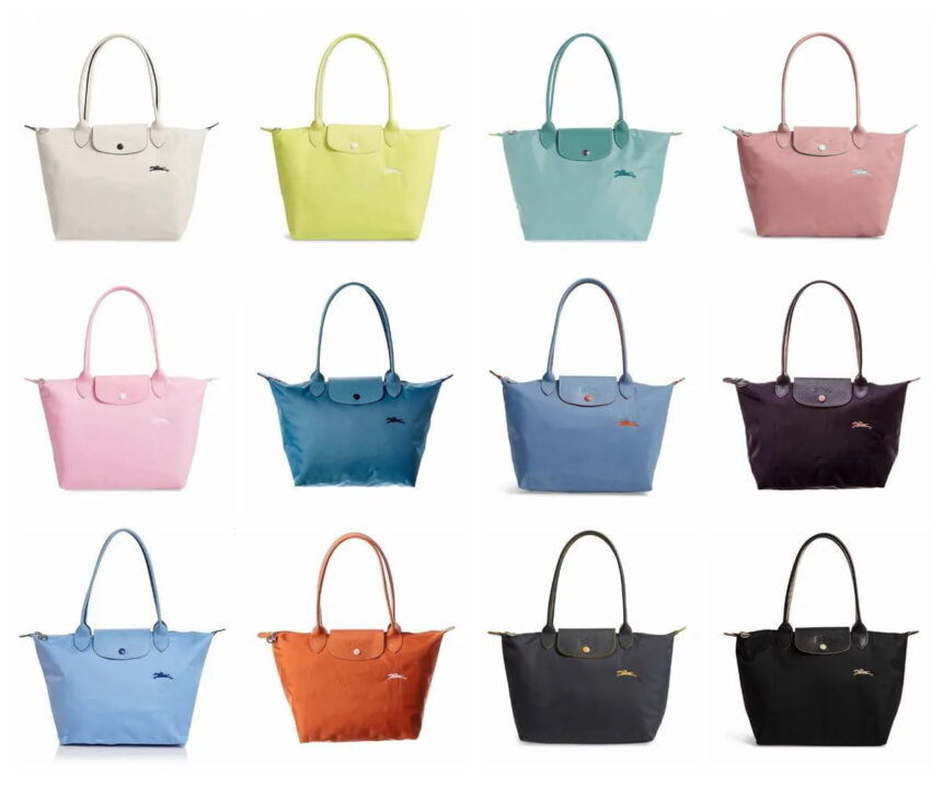 túi longchamp