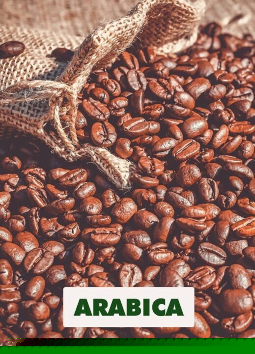 cà phê arabica và robusta