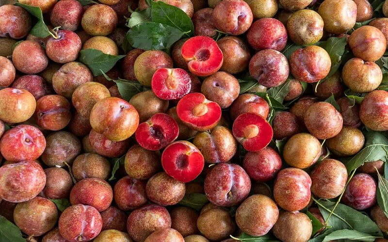 Mận Hậu – Mỗi Lần Lắc Là Một Lần Quên Nóng