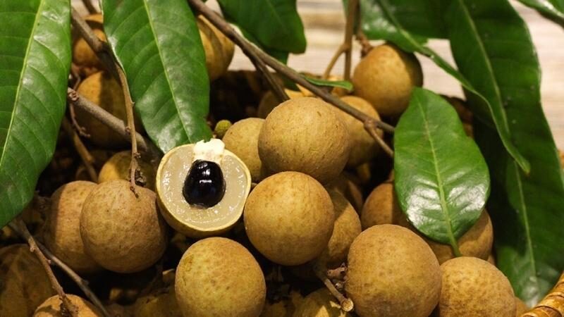 Nhãn – Vị Ngọt Nồng Nàn Dễ Gây Nghiện
