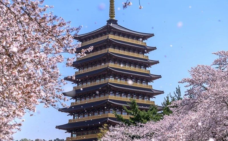 Khám Phá Những Thành Phố Đẹp Nhất Châu Á 2025